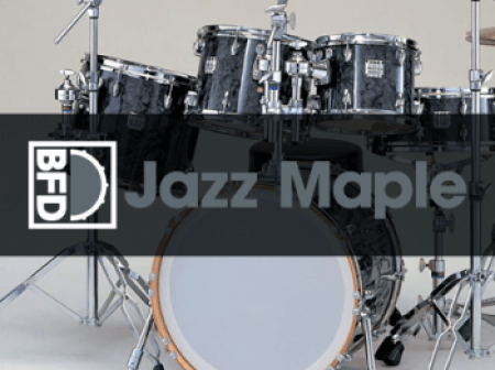 inMusic Brands BFD Jazz Maple Bonus Cymbals BFD3